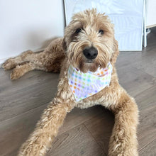 Load image into Gallery viewer, Dog bandana - Pastel | Gingham