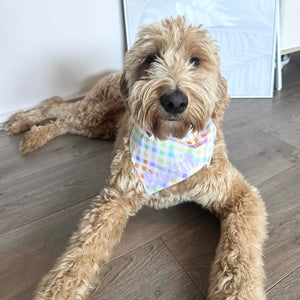 Dog bandana - Pastel | Gingham