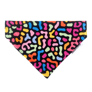 Dog bandana - Squiggle