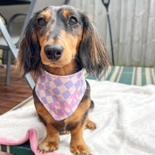 Load image into Gallery viewer, Dog bandana - Purple checker