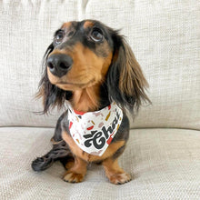 Load image into Gallery viewer, Dog bandana - Brooklyn | Terrazzo