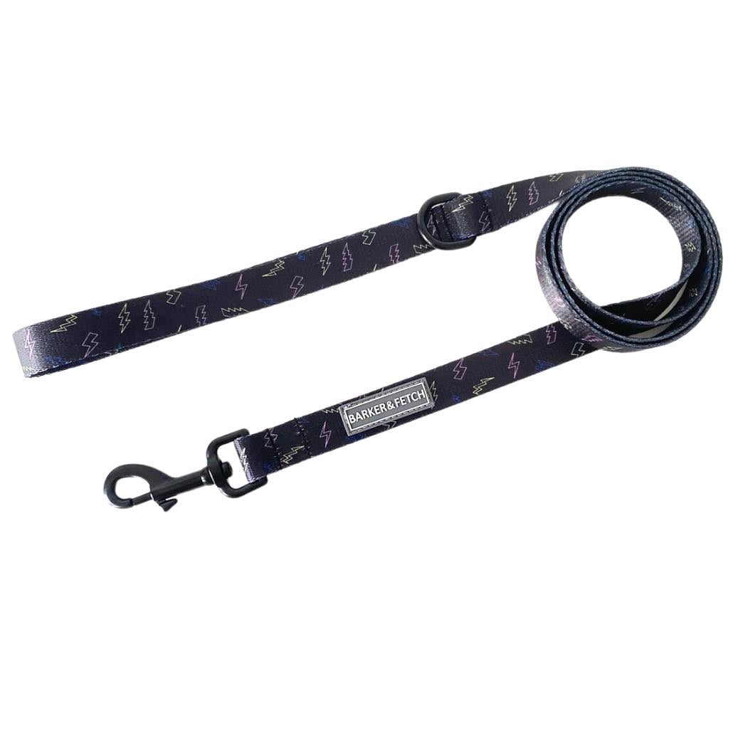 Fetch leash best sale