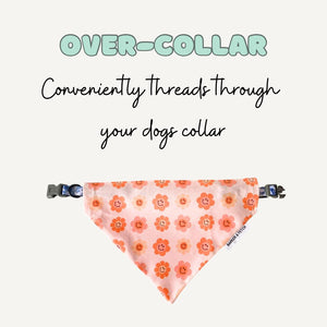 Dog bandana - Happy sherbet | pastel checkers | Smiley faces