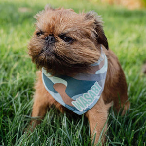 Dog bandana - Drake | Camo