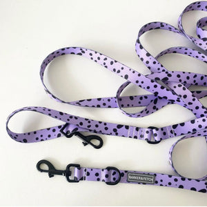 Dog recall leash - Oblivion