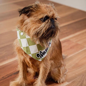 Dog bandana - Matcha | Checkers