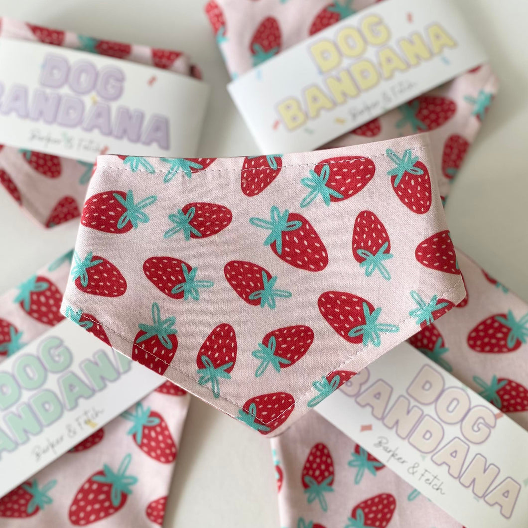 Dog bandana - Strawberry punnet | Strawberries