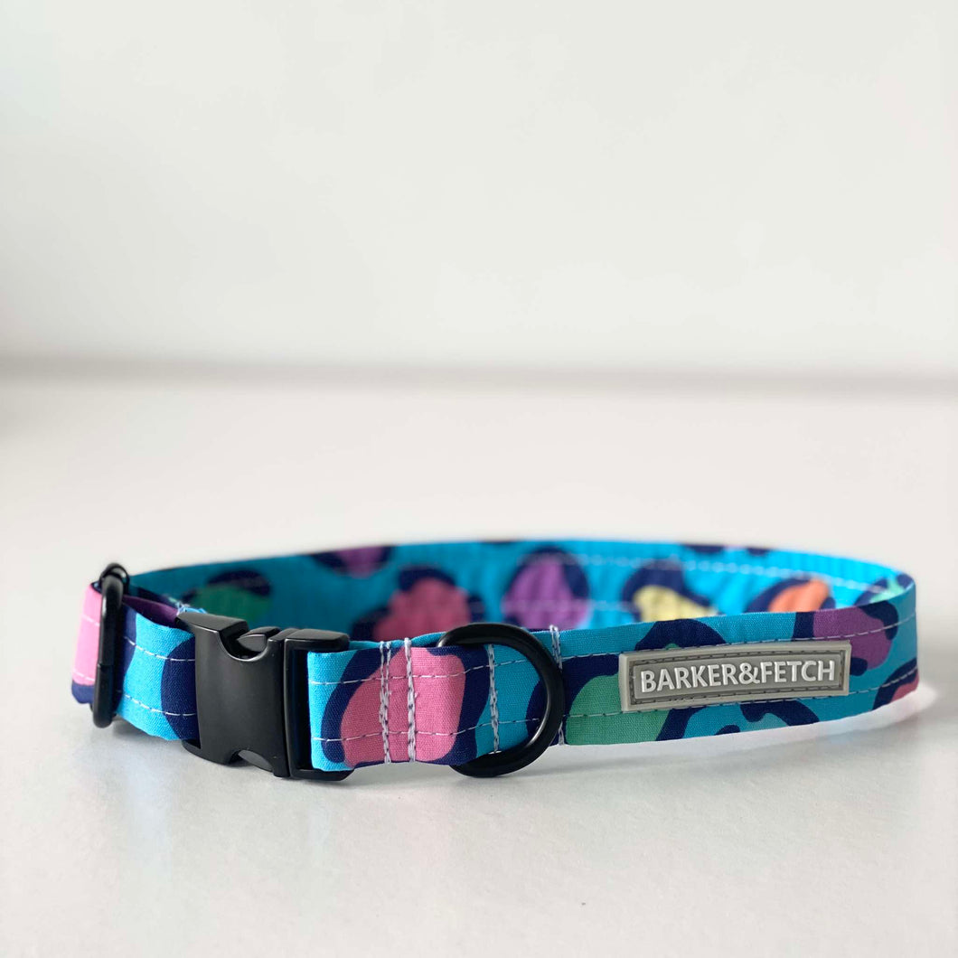 Dog collar - Leopard pop | Blue leopard print