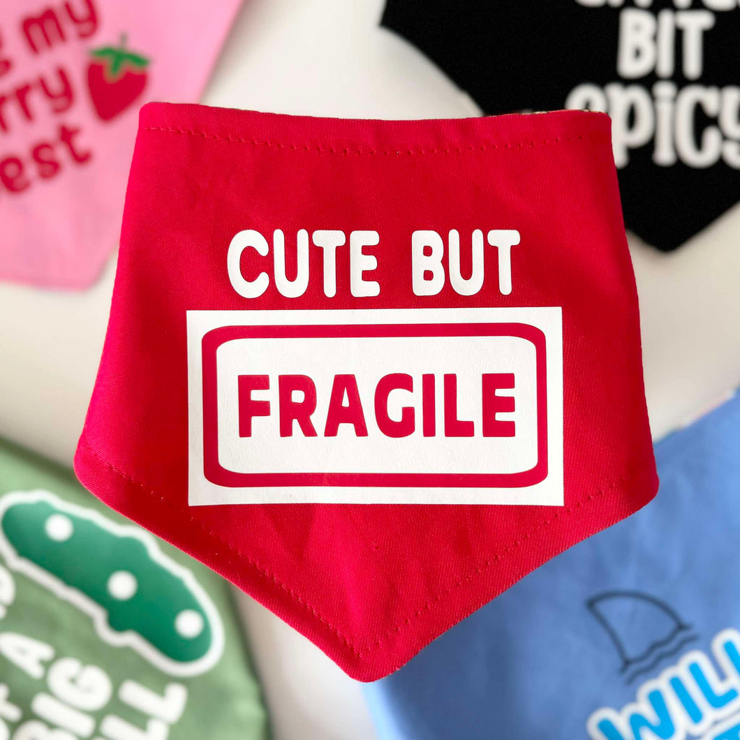 Dog bandana - Cute but fragile